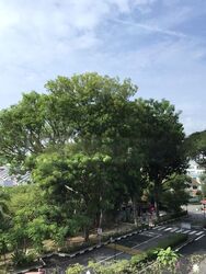 Island View (D5), Condominium #511612281